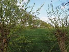 primavera tempo nel weseke Germania foto