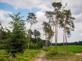 escursioni a piedi vicino reken nel il Tedesco Münsterland foto