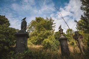 lapidi nel cimitero, arno valle cimitero foto