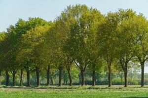 il villaggio di weseke foto