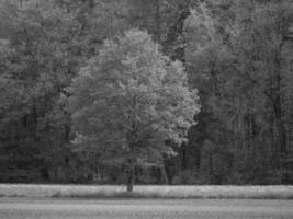 nel il Tedesco Münsterland foto