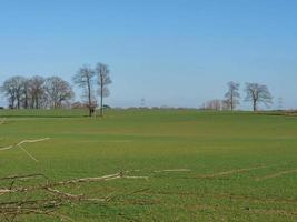 il Tedesco Münsterland foto