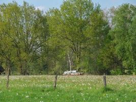 estate tempo nel westfalia foto