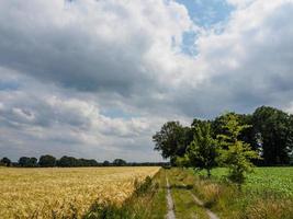 reken nel westfalia foto