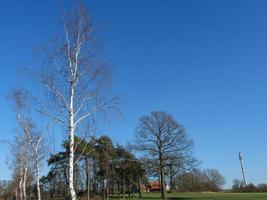 il Tedesco Münsterland foto