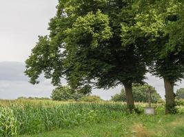 estate tempo a il Tedesco villaggio weseke foto