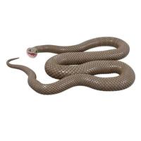 orientale Marrone serpente 3d illustrazione. foto