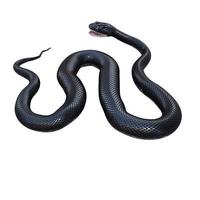 nero ratto serpente 3d illustrazione. foto