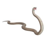 orientale Marrone serpente 3d illustrazione foto
