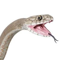 orientale Marrone serpente 3d illustrazione foto