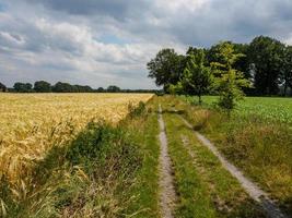 escursioni a piedi vicino reken nel il Tedesco Münsterland foto