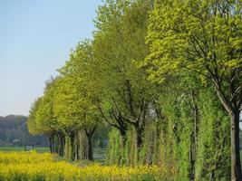 primavera tempo vicino stadtlohn nel Germania foto