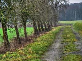 il Tedesco Münsterland foto