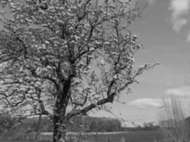 primavera tempo nel westfalia foto