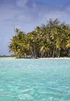 l'isola tropicale con palme in mare foto