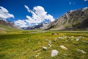 campo in montagna con nuvole nel cielo blu foto