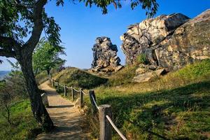 il diavoli parete, un' arenaria formazione nel il harz montagne foto