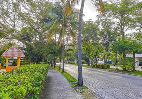 playa del carmen quintana roo mexico 2022 strada tipica e paesaggio urbano di playa del carmen mexico. foto