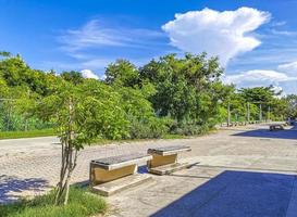 tipico pedone strada paesaggio urbano parete dipinti playa del Carmen Messico. foto