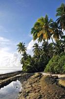 isola paradisiaca con spiaggia bianca e palme da cocco al litorale foto