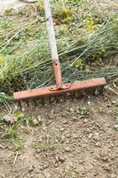 pulizia falciato erba di rastrello nel giardino foto