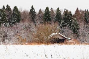 di legno Casa su bordo di nevicato foresta foto