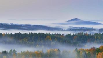 mattina nebbiosa nel paesaggio foto