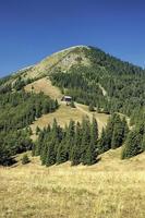 slovacco montagna Visualizza foto