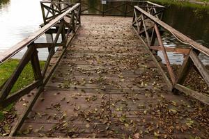 di legno ponte con un' visualizzazione piattaforma al di sopra di il lago. autunno Visualizza. foto