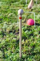 gioco di croquet su verde prato foto