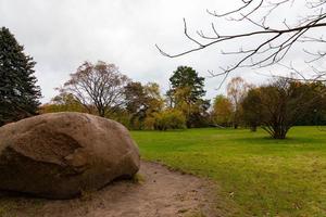 grande naturale granito pietra tra verde erba e alberi. scenario foto