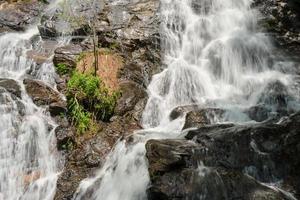 amicallola cascate cascata nel primavera foto