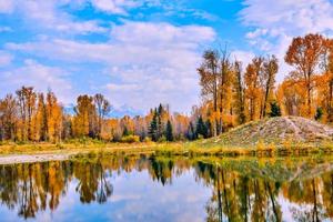 un' stagno riflettendo il colori di autunno su un' freddo Wyoming mattina foto