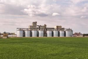 agro silos elevatore per granaio con linea di pulizia semi su impianto di produzione agro-lavorazione per la lavorazione, essiccazione, pulizia e stoccaggio di prodotti agricoli, farina, cereali e grano. foto