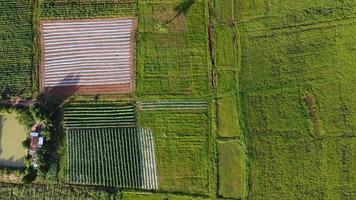 aereo Visualizza di montagna è bellissimo Tailandia foto