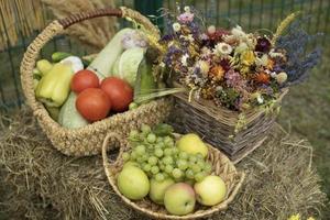 raccogliere nel autunno. salutare cibo. foto