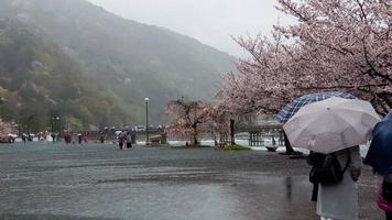 kyoto, Giappone su aprile 8, 2019. persone siamo a piedi mentre utilizzando ombrelli perché esso è pioggia. foto