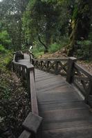 vecchio di legno le scale verso il basso nel asiatico giardino nel Taiwan foto