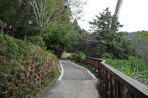 lungo avvolgimento piccolo passgae nel asiatico giardino pista foto