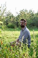 ritratto di giovane bello sorridente europeo uomo nel casuale capi di abbigliamento seduta su un' erba nel estate parco. foto