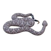 occidentale diamondback serpente a sonagli 3d illustrazione foto