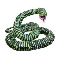 boomslang serpente 3d illustrazione foto