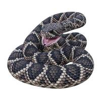 orientale diamondback serpente a sonagli 3d illustrazione foto