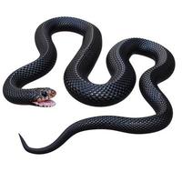 rosso panciuto nero serpente 3d illustrazione foto