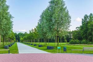 naturale panorama Visualizza lago sentiero verde impianti alberi foresta Germania. foto