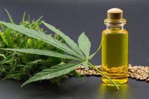 olio di canapa cbd, erba e foglie di cannabis per il trattamento, estratto dall'olio di canapa. foto