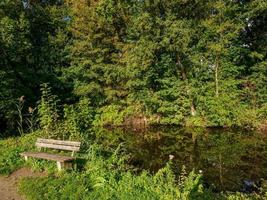 foresta e castello nel westfalia foto