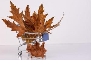 un' mazzo di autunno asciutto acero le foglie nel un' shopping carrello su un' leggero sfondo. autunno concetto. foto