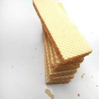 impostato di delizioso wafer con crema formaggio isolato su bianca sfondo. per sfondi, copertine, striscioni, annunci e Di Più foto