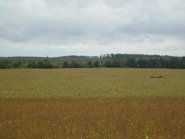 panorama di il autunno campo nel il villaggio foto